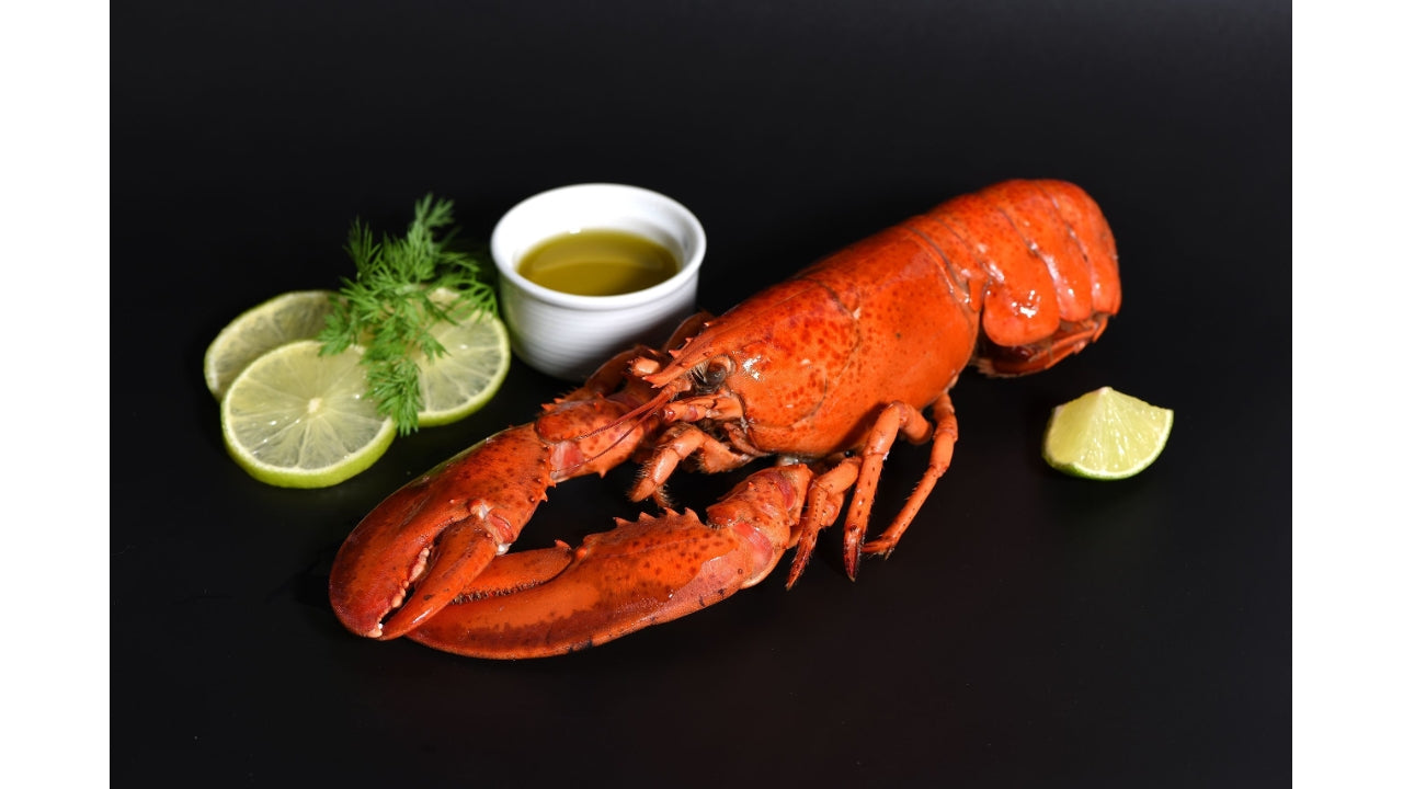 Kogte hummer 350g MSC