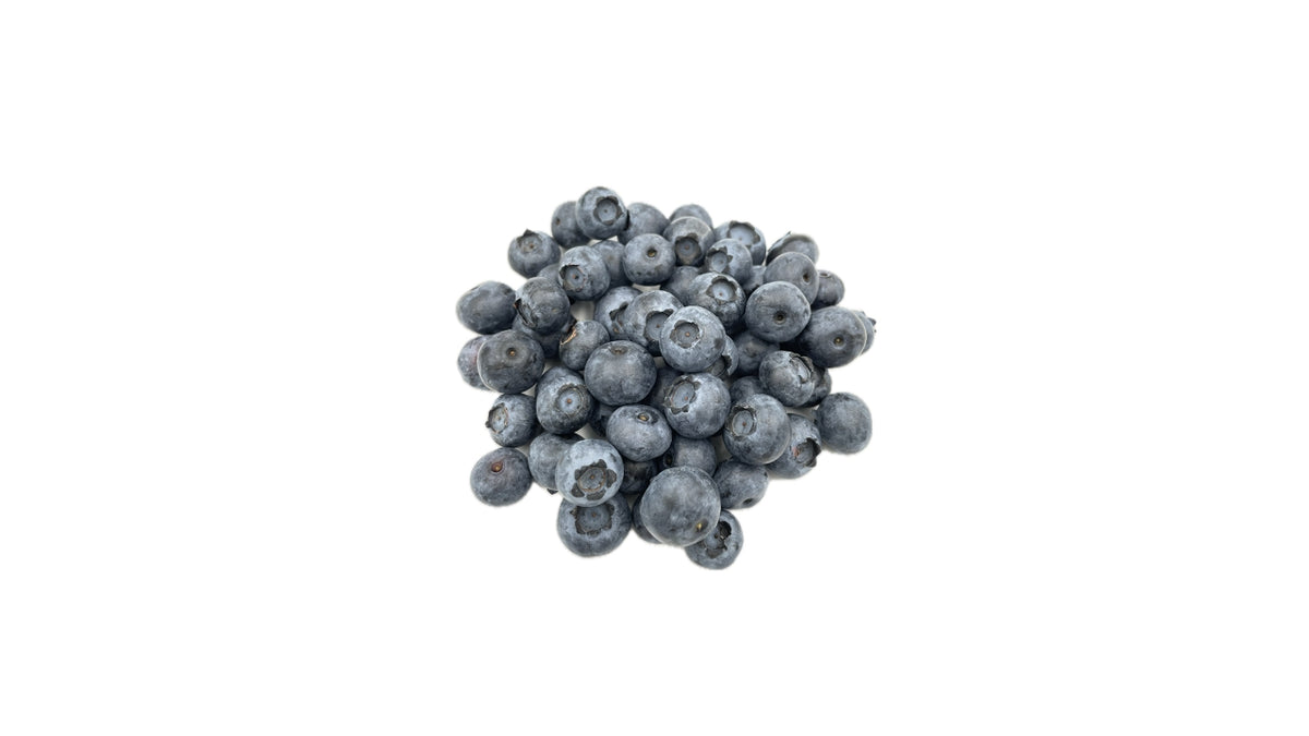 Øko bær Blåbær 125 g (12)