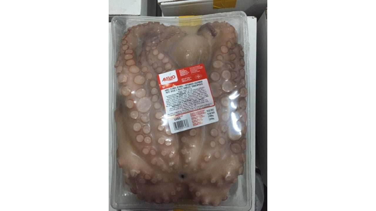 Blæksprutter 2-3kg