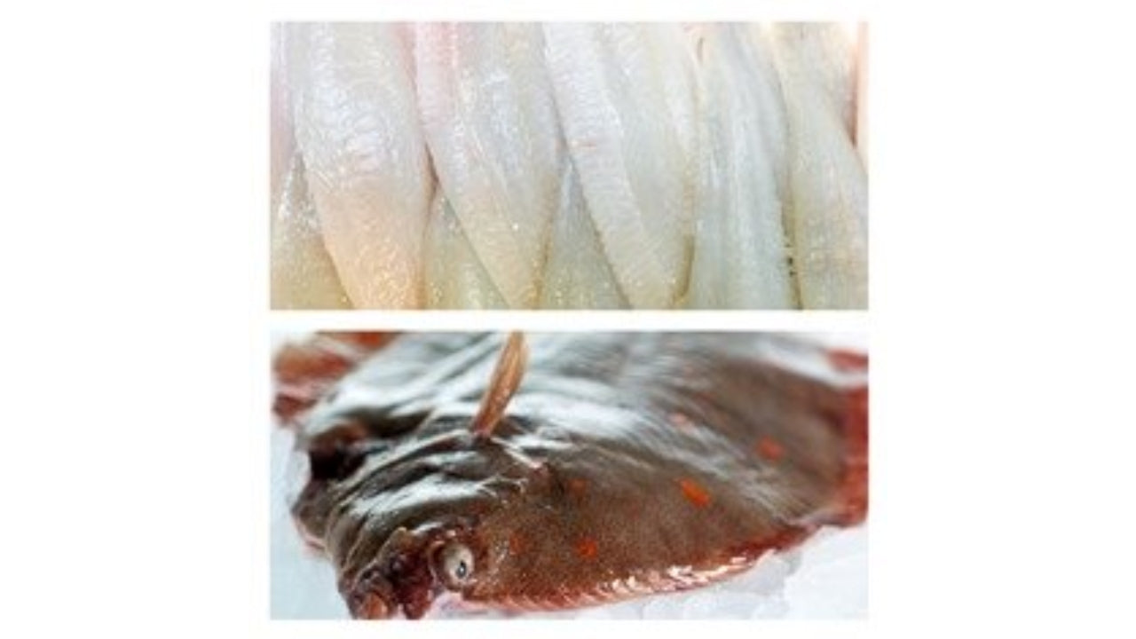 Rødspættefilet 60-90g 1kg MSC