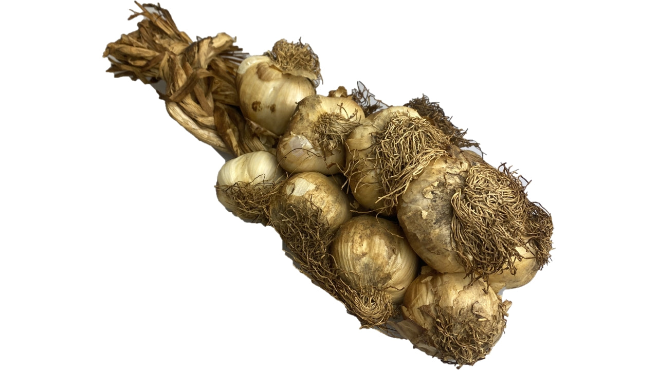 Hvidløg røget 1kg (10)