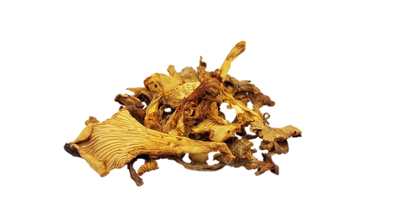 ###Tørrede Kantareller 50 g (12)