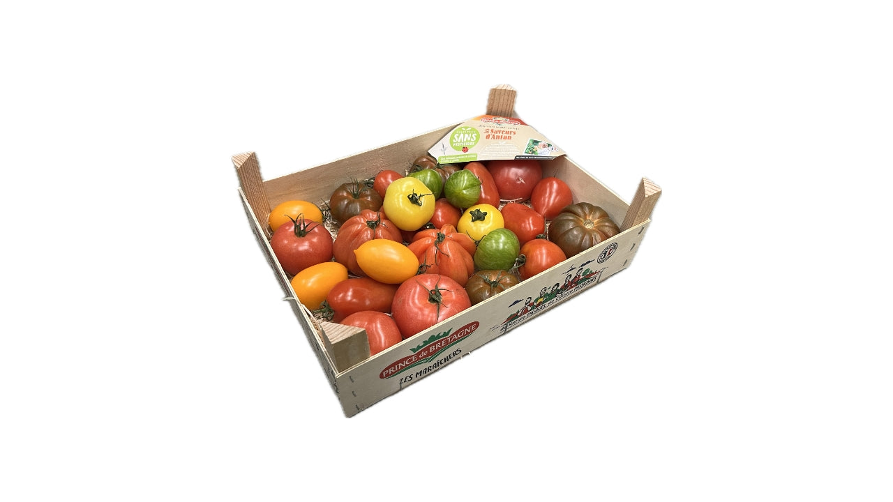 Tomater Wild mix 3,5 kg NY HØST