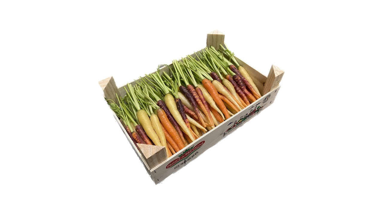 Mini regnbue gulerødder 1kg