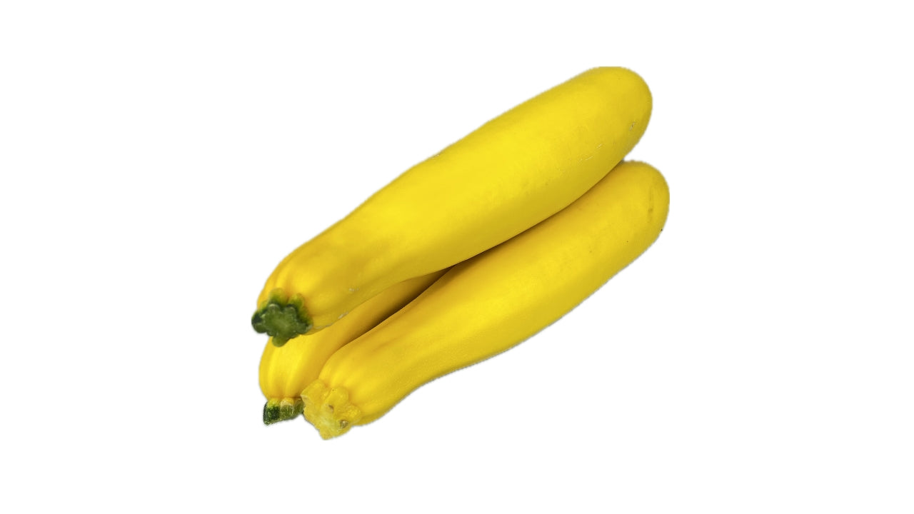 Courgetter gul Squash (14)
