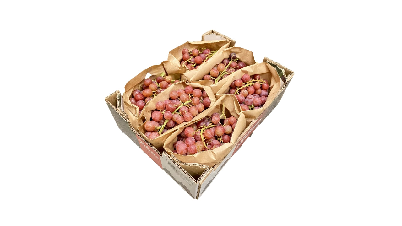 Vindruer røde/blå s/f 4,5 kg
