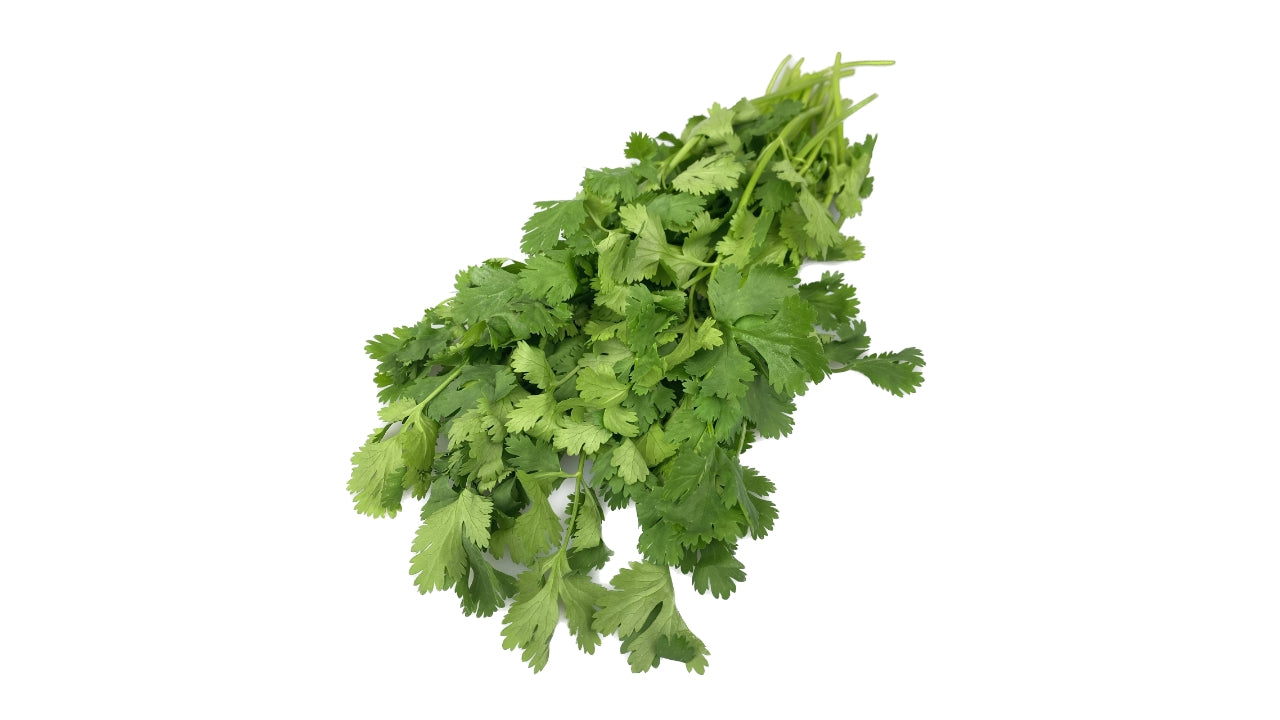 Koriander 1 kg