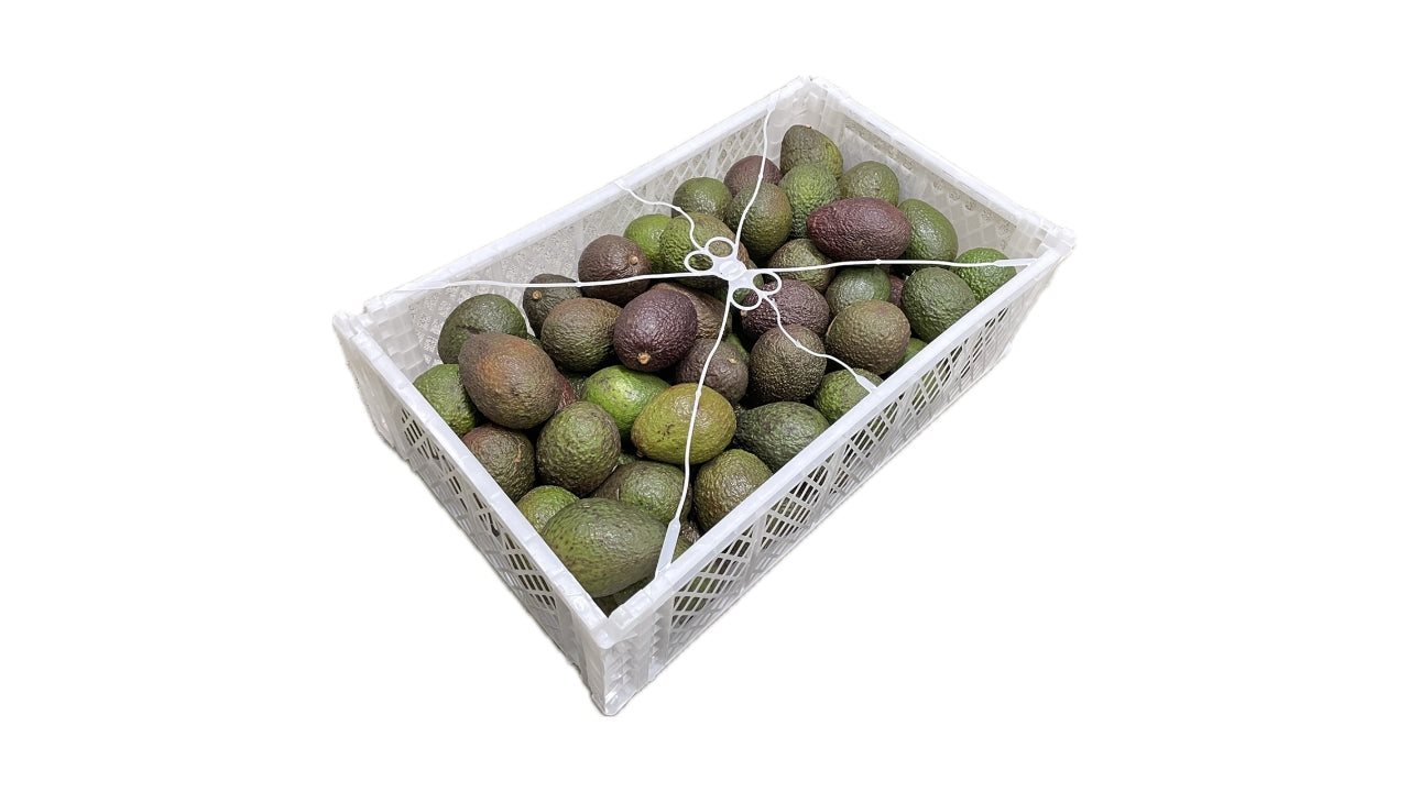 Avocado formodnet 10 kg