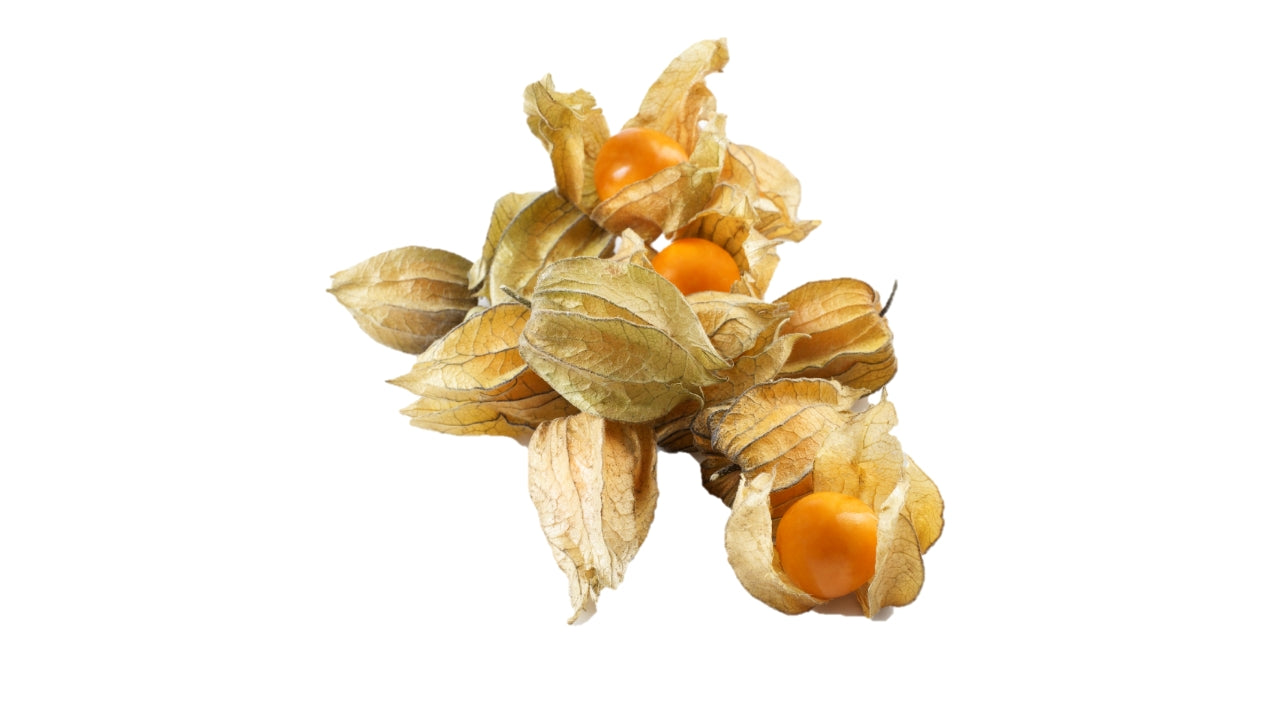 Physalis Ananas kirsebær 1,5kg
