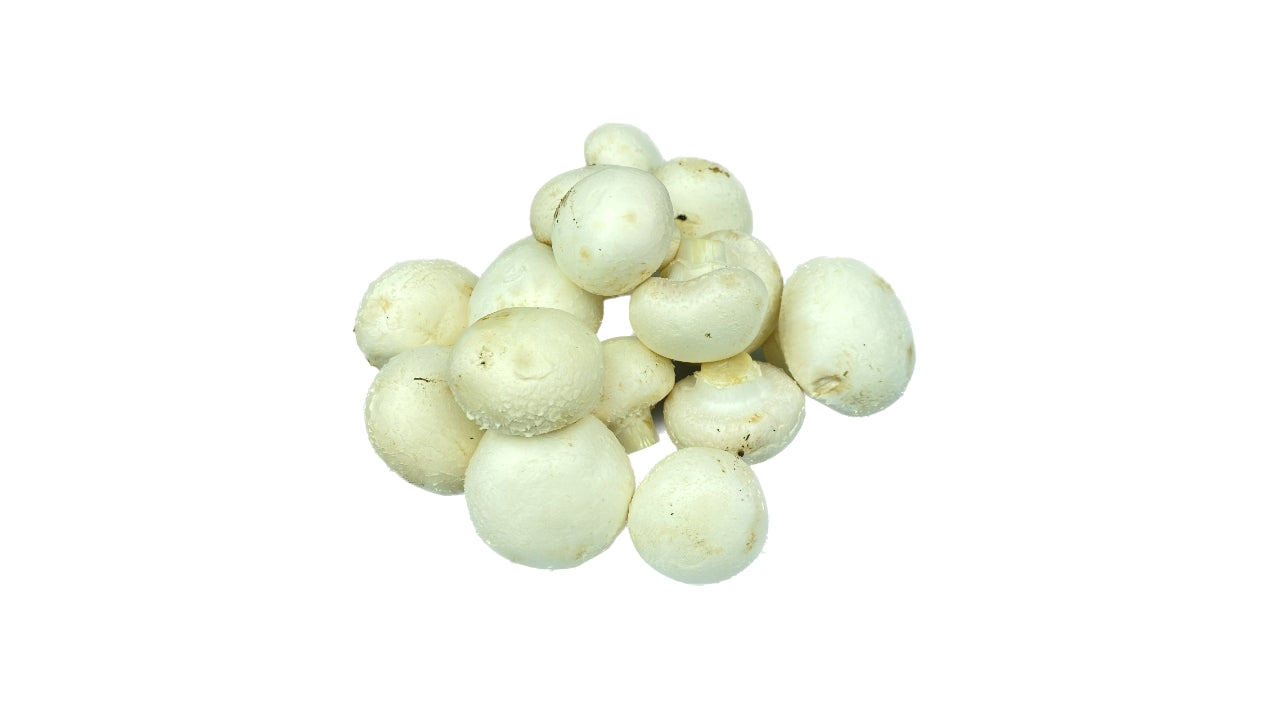 Øko Champignon 2,5 kg
