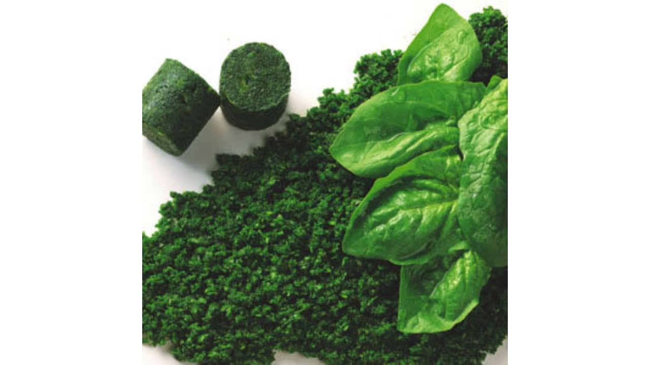 Øko Spinat hakket 2,5kg