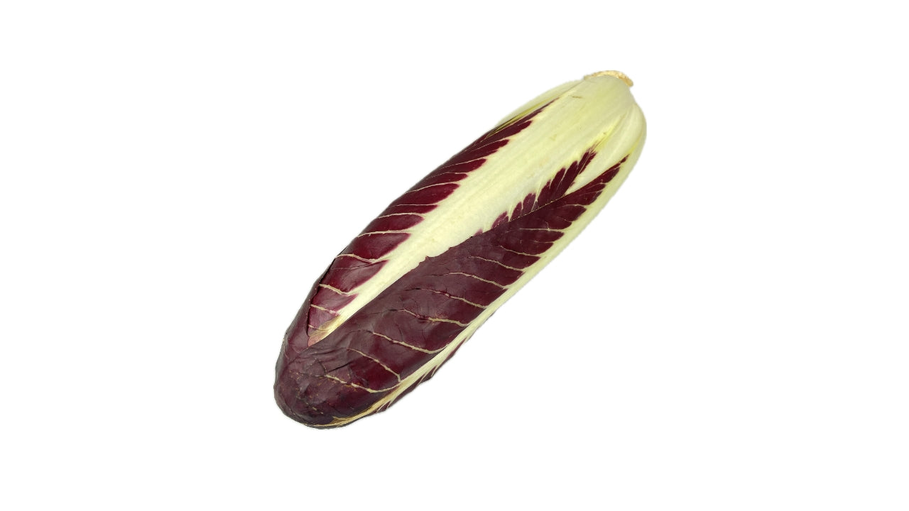 Salat Radicchio Treviso lang (8)
