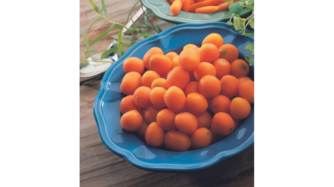 Pariserkarotter 12-18mm 2,5kg