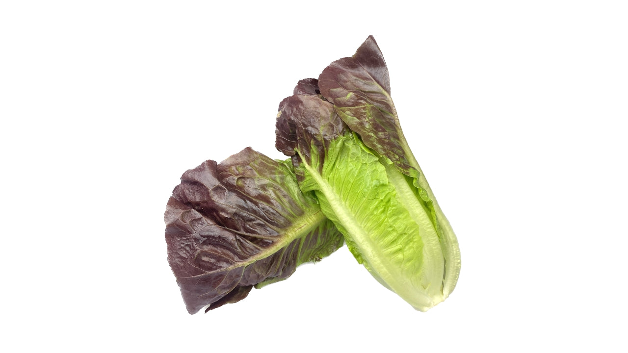 Øko Salat Hjertesalat rød 2 stk (12)