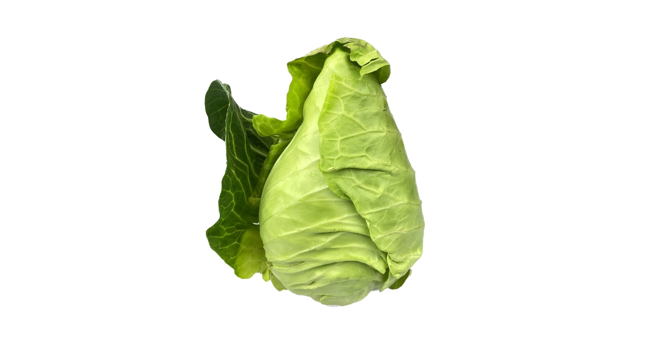 Øko Spidskål u/film DK 6kg