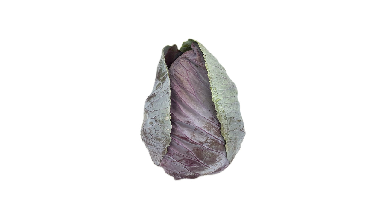 Øko Spidskål rød min. 350g (10)