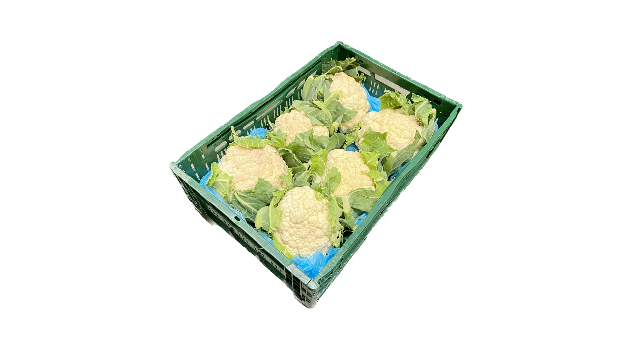 Øko Blomkål 5 kg ca 6-8stk