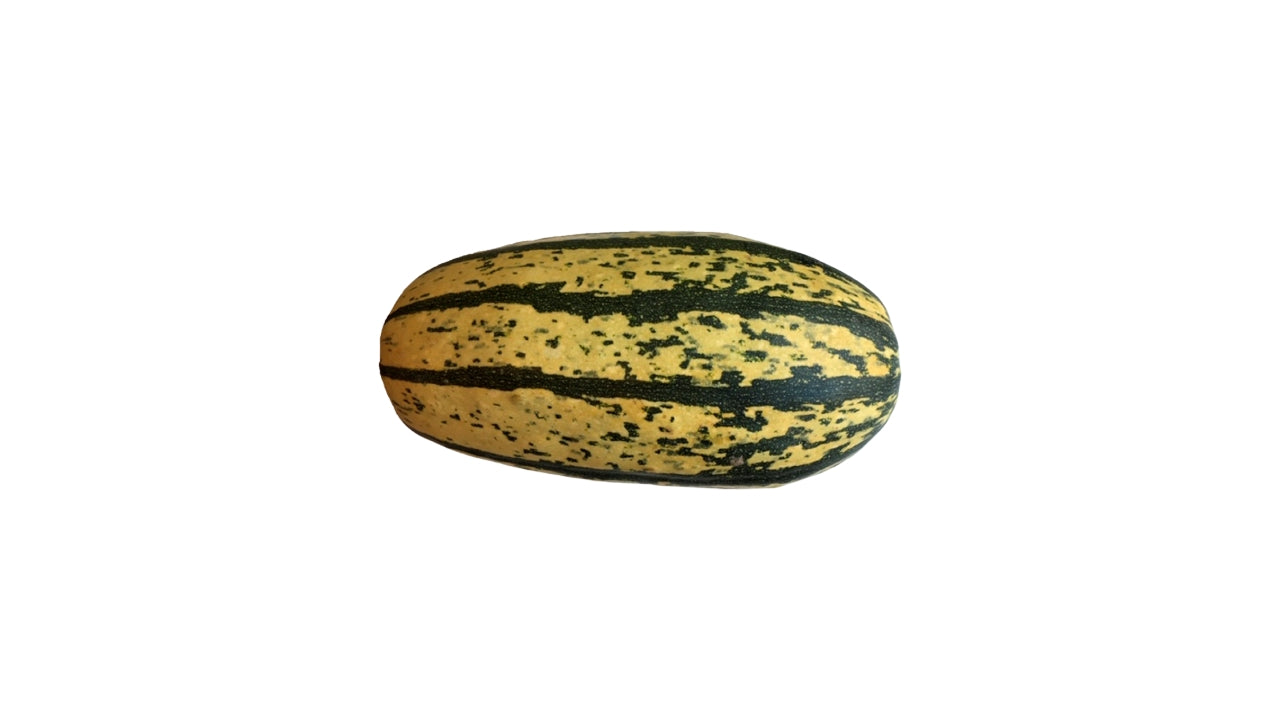 Øko Græskar Stripetti 1,5kg (6)