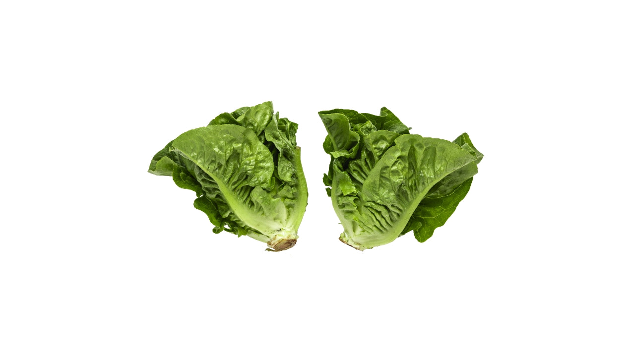 Øko Salat Hjertesalat 2 stk (12)