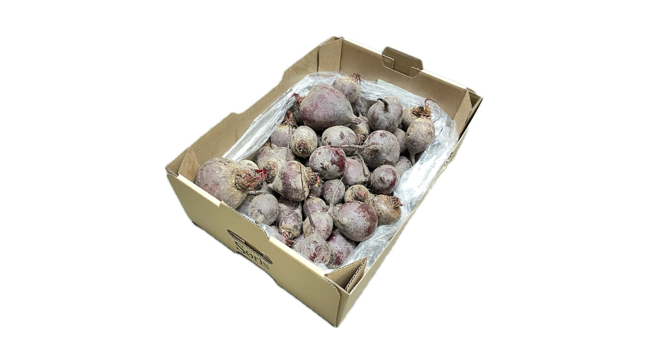 Øko Rødbeder rund 5kg Detroit dark red