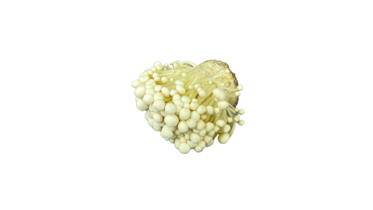 Øko Svampe Enoki DK 100 g (12)
