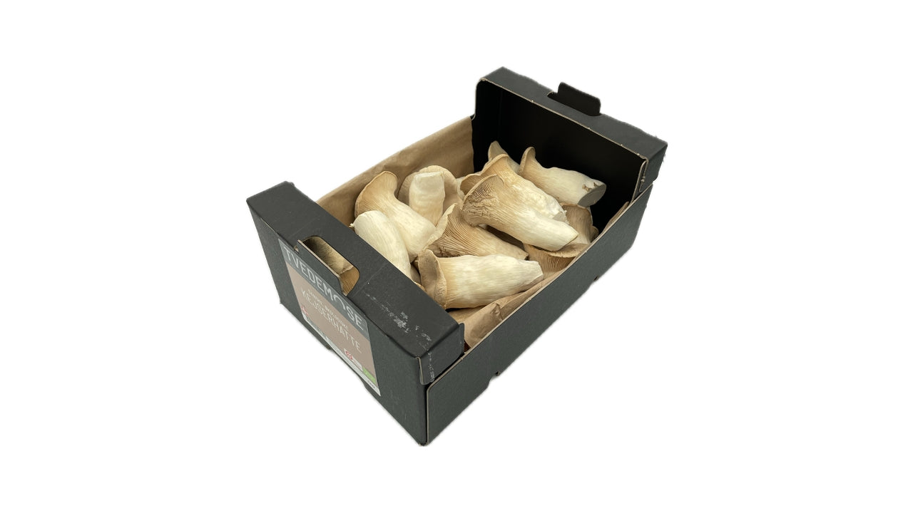 Øko Svampe Kejserhatte DK 1 kg
