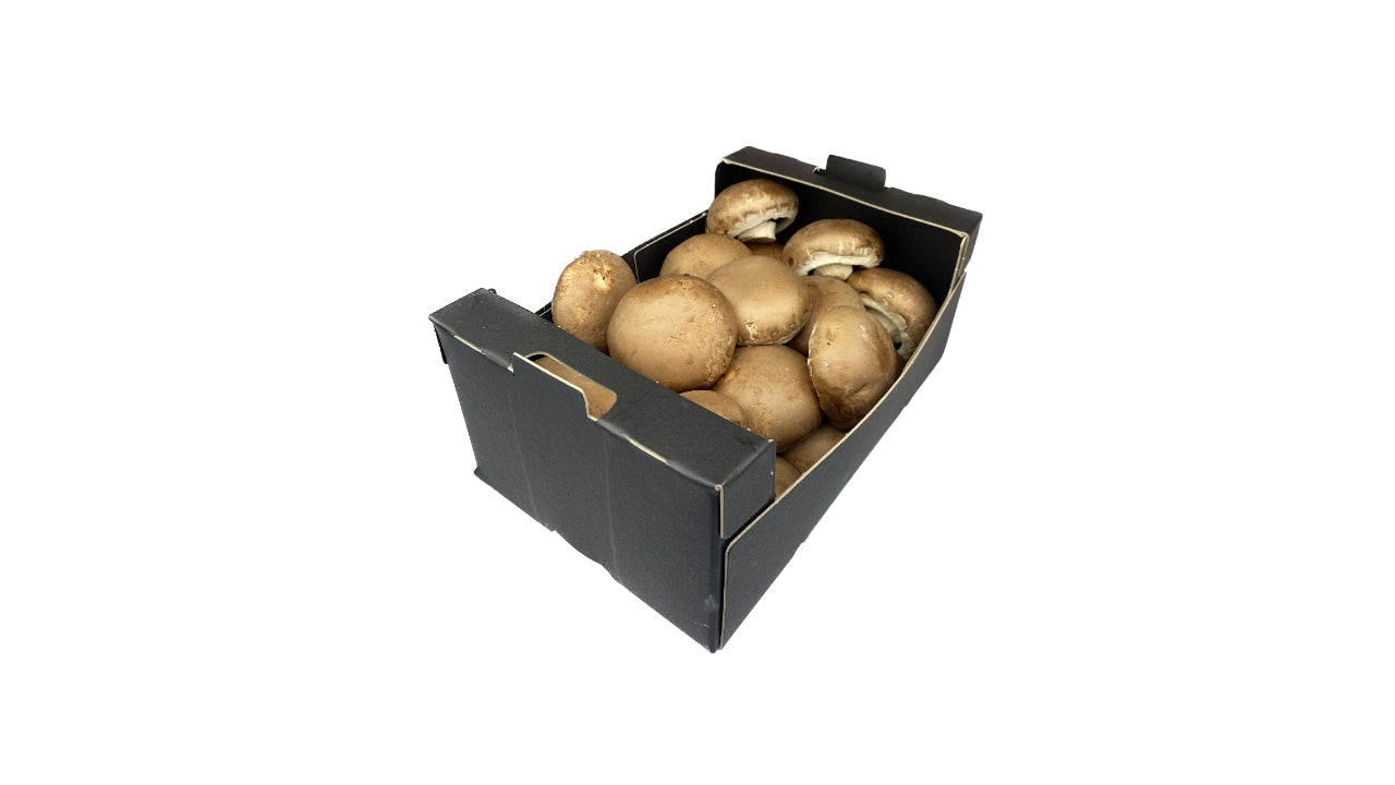 Øko Mini Svampe Portobello DK 25 stk 1kg