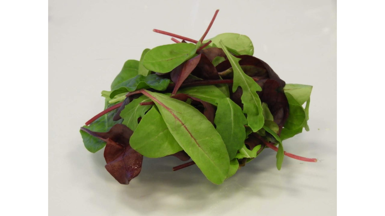 Øko Salat Mixsalat vasket 500 g (2)