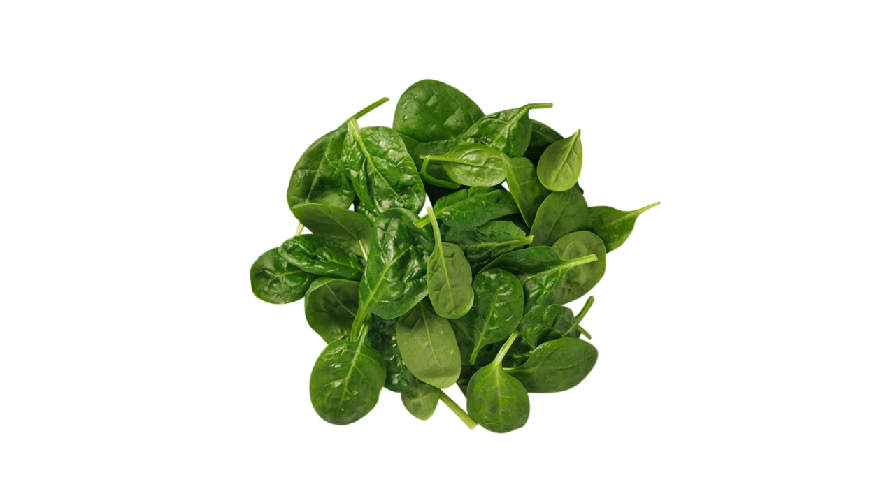 Øko Salat Baby Spinat vasket 500 g (2)