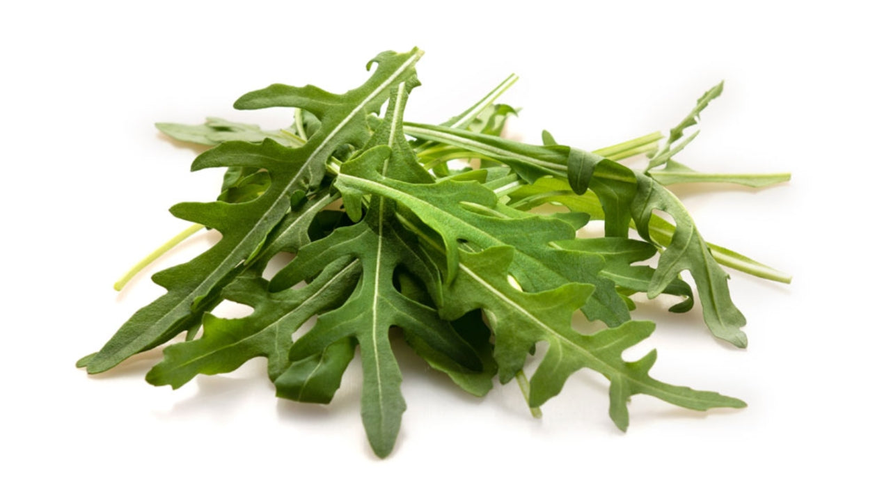 Øko Salat Rucola vasket 500 g (2)