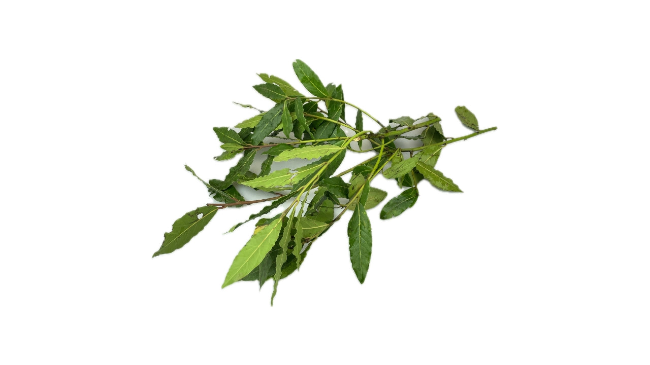 Laurbærblade bdt (10)