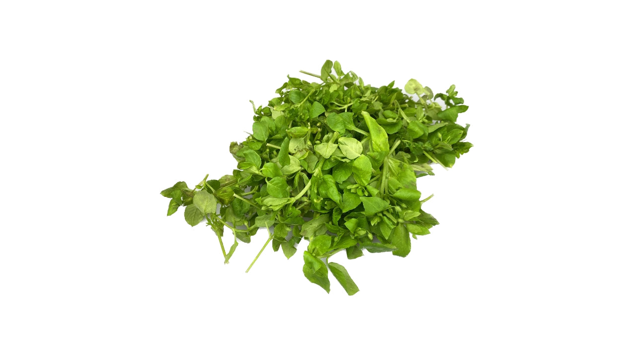 Fuglegræs 75 g