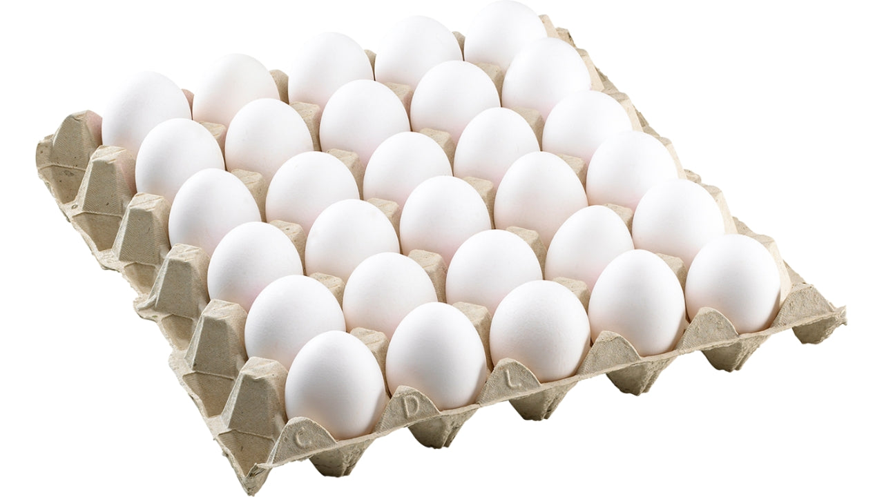 Øko Æg friske str L 6x30stk