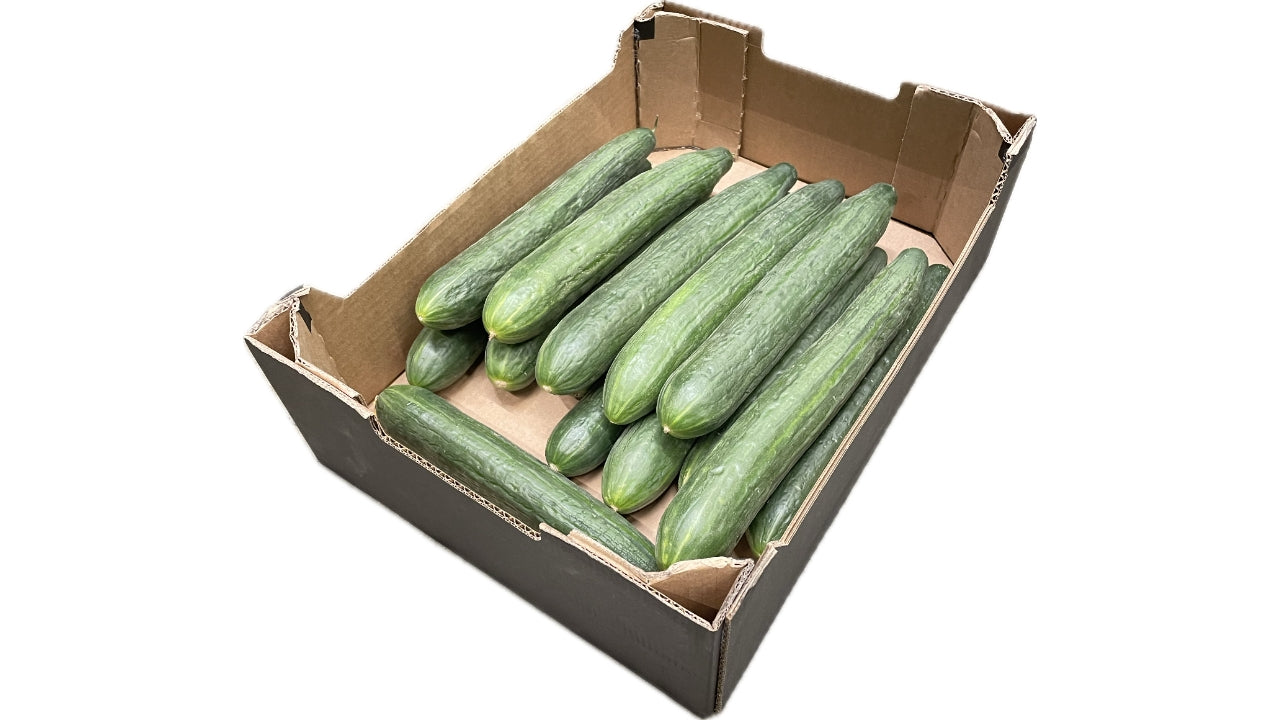 Øko Agurker ca. 4 kg kl.2