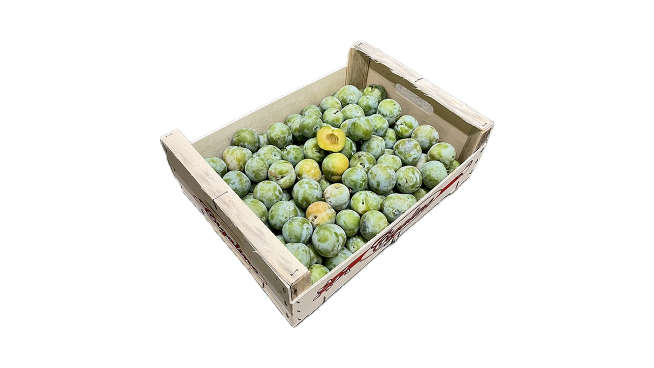 Blommer Reine Claude 5 kg