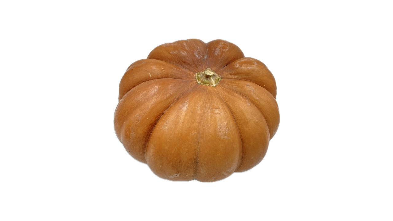 Græskar Muscat 1 stk ca 4-5 kg (3)