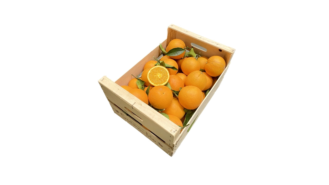 Øko Appelsiner m/blade ca 9kg