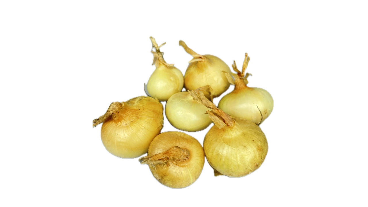 Løg Borettane 5 kg