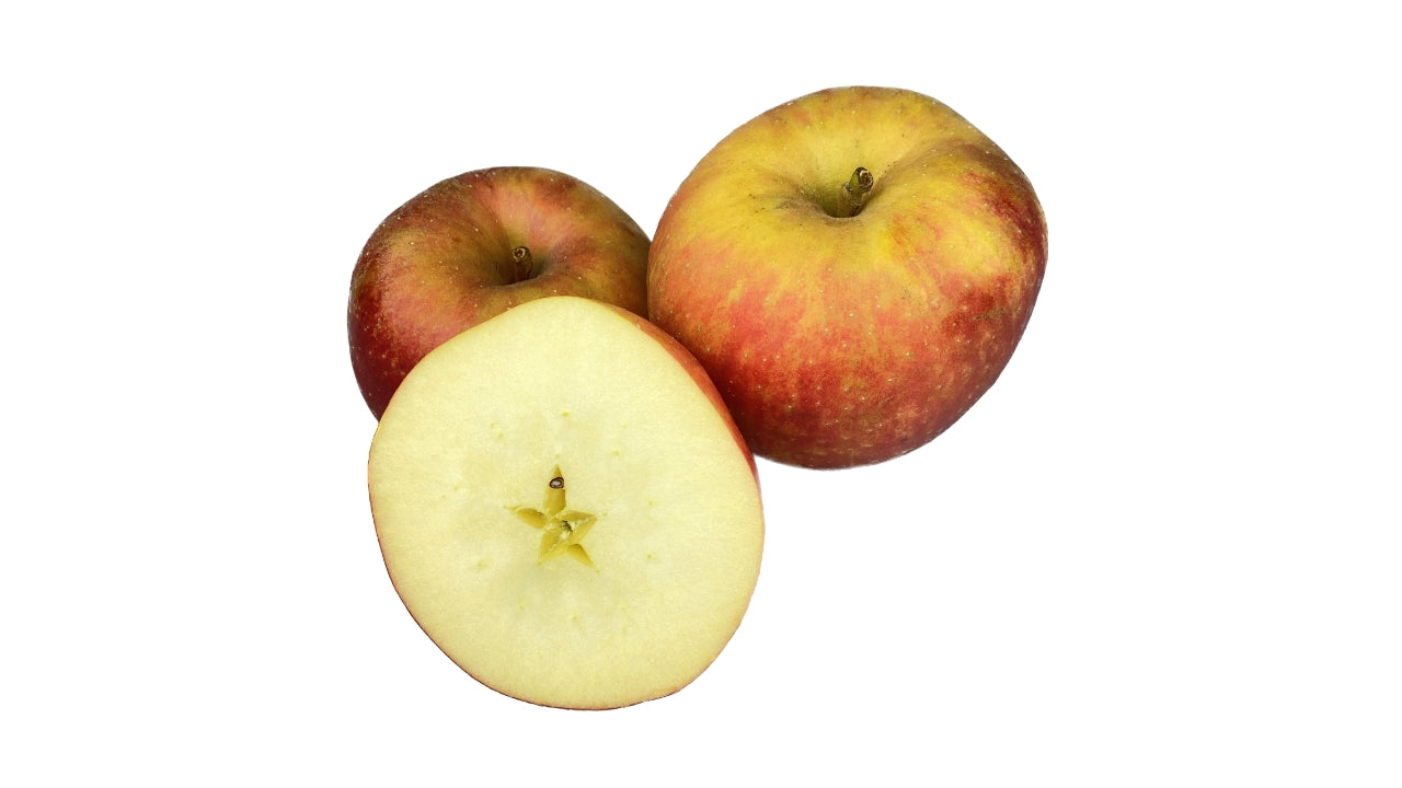 Æbler Belle de Boskoop 90/100mm (32)