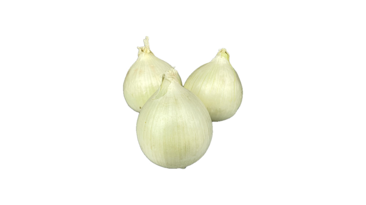 Løg Salatløg 10 kg