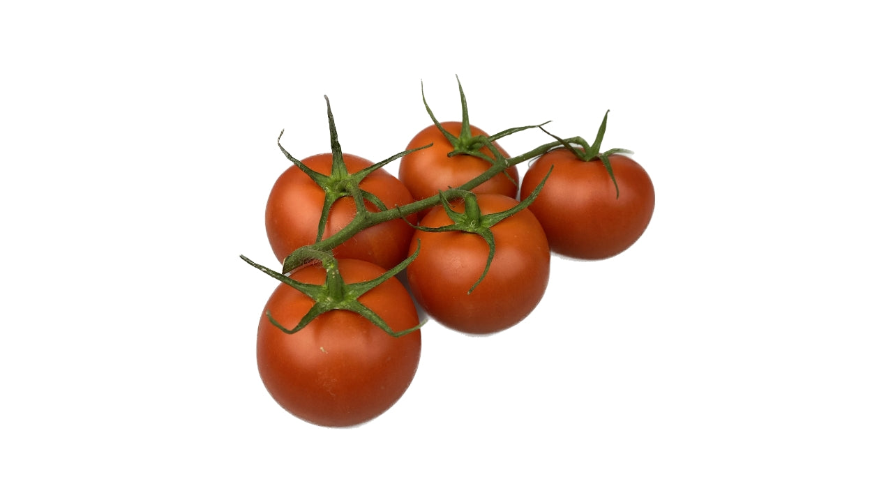 Øko Tomater stilk 5 kg