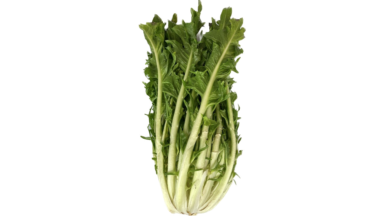 Salat Puntarelle 7 kg