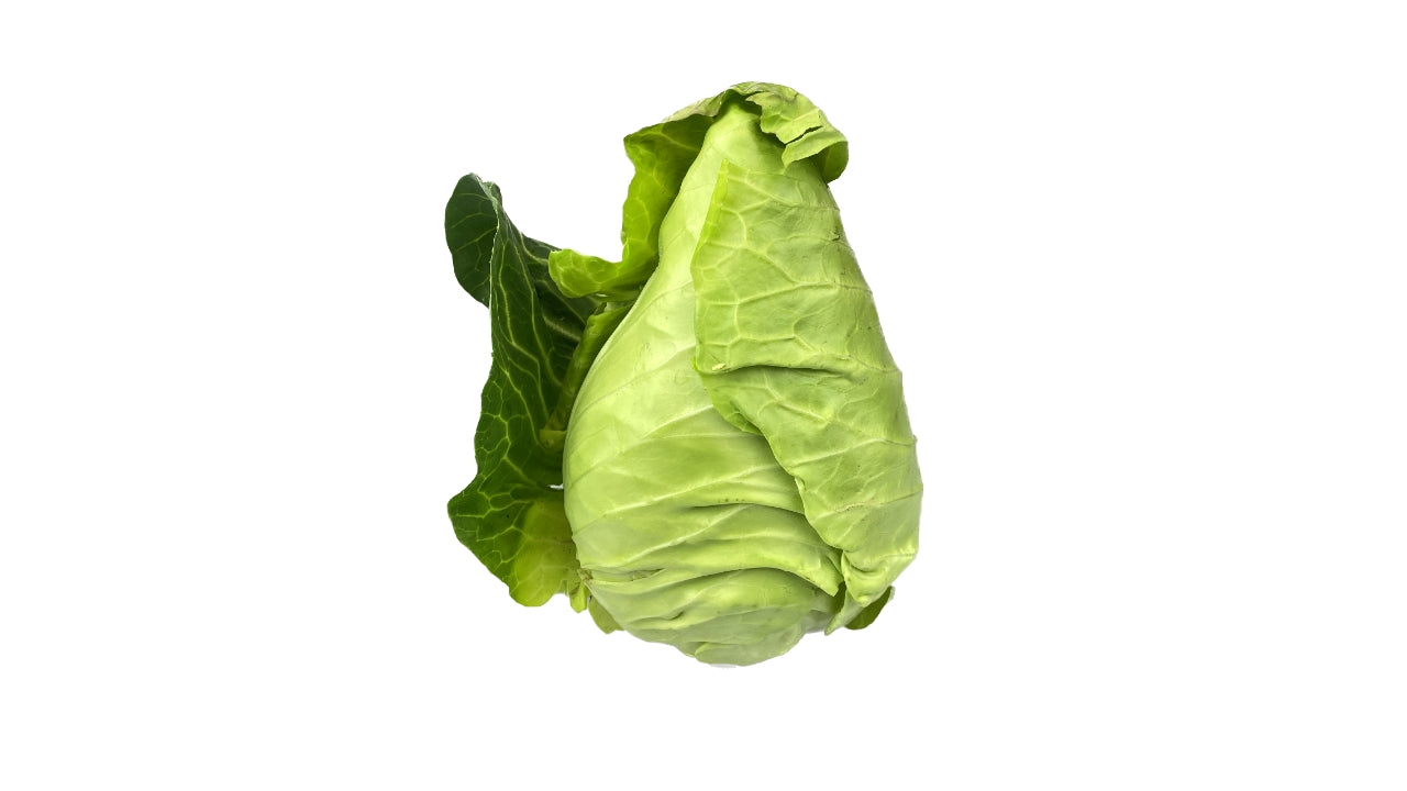 Spidskål ny høst (12)