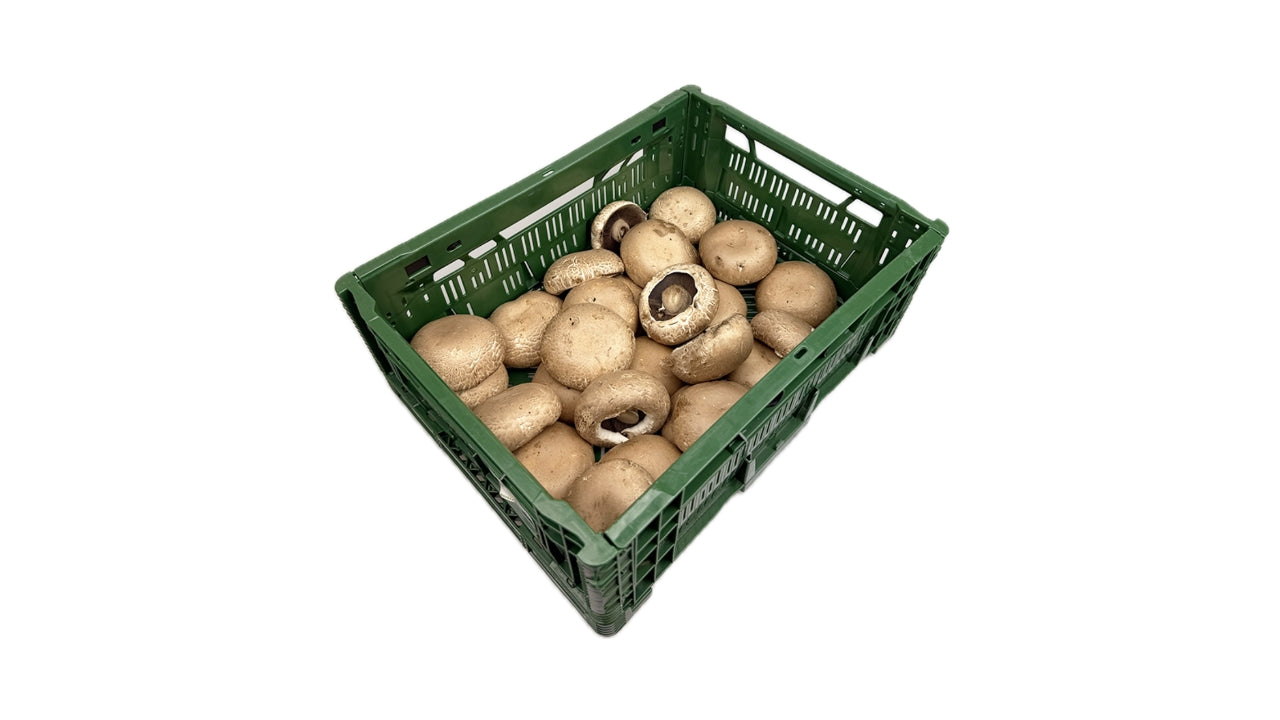 Øko Svampe Portobello 1,5 kg