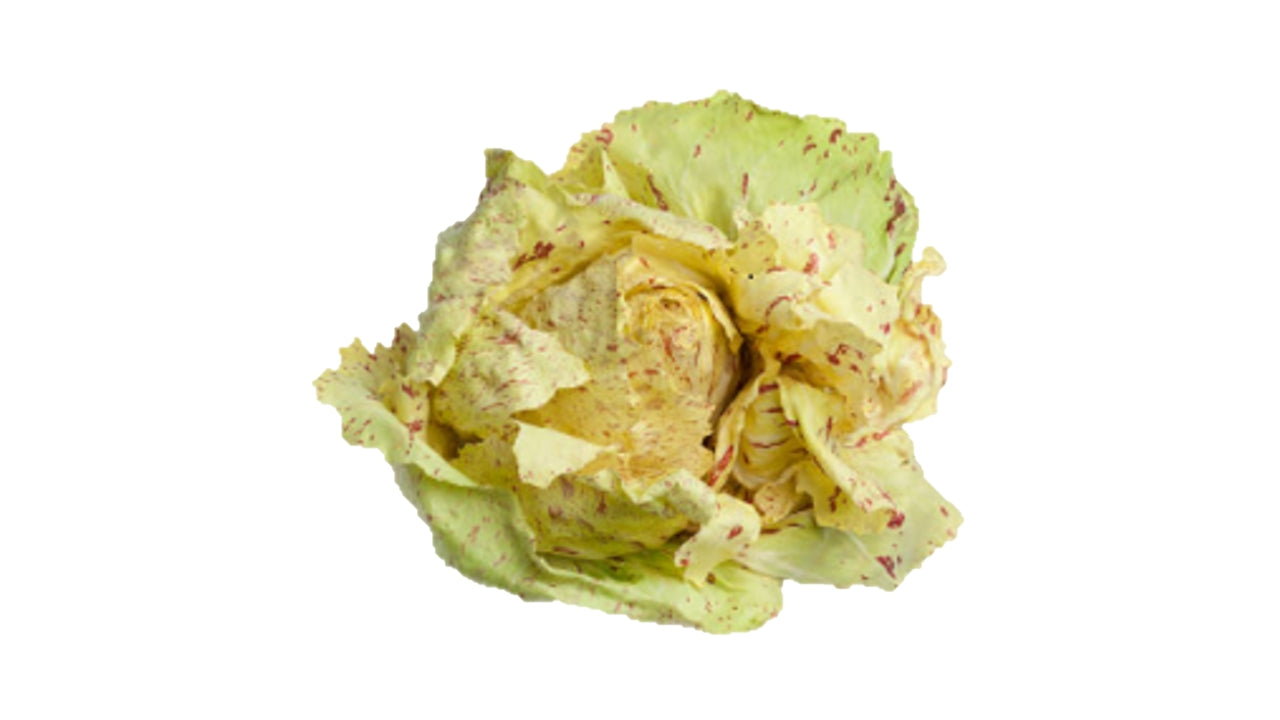 Salat Radicchio Variegato ca 6stk