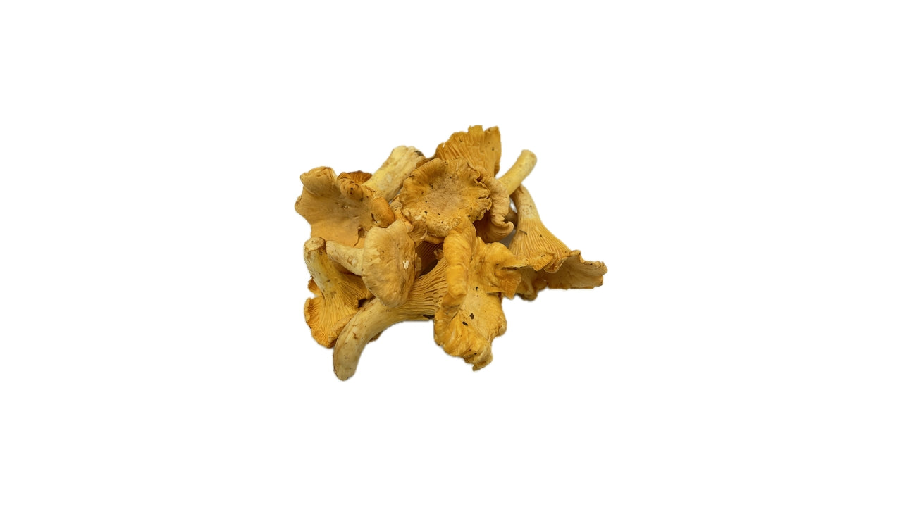 Svampe Kantareller 1 kg