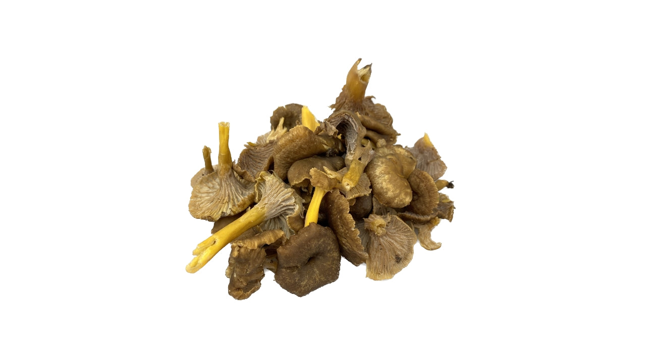 Svampe Kantareller Tragt 1 kg