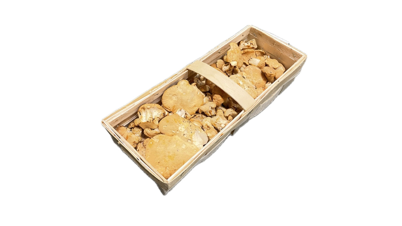 Svampe Pighatte 1 kg