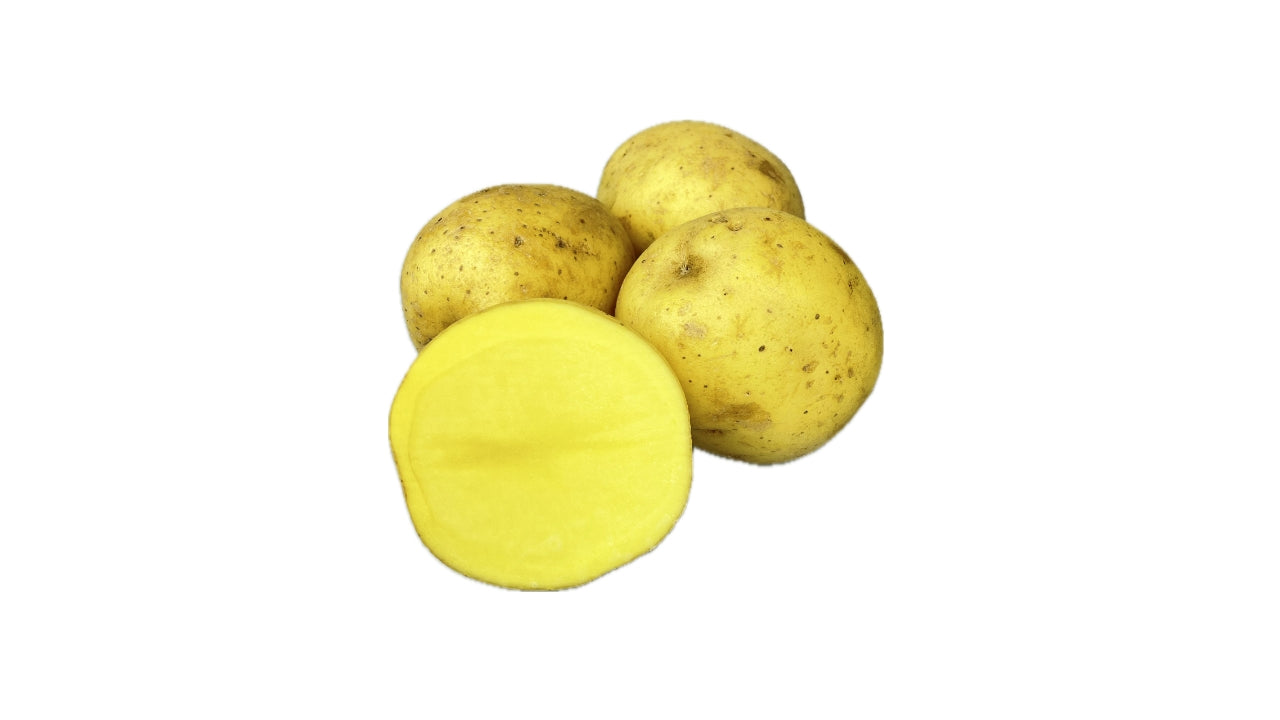 Øko Kartofler Bage 55/+mm ca 60stk 13kg