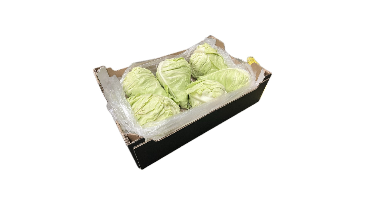 Øko Spidskål 8-10stk 6kg